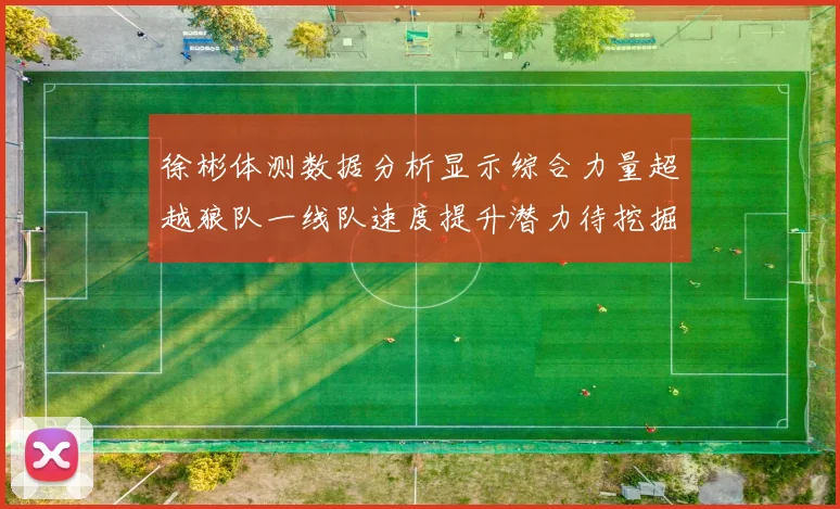 徐彬体测数据分析显示综合力量超越狼队一线队速度提升潜力待挖掘